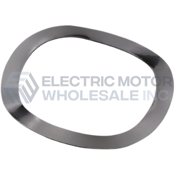 Image for 004300.06 Leeson Wavy Spring Washer for 206 Bearing